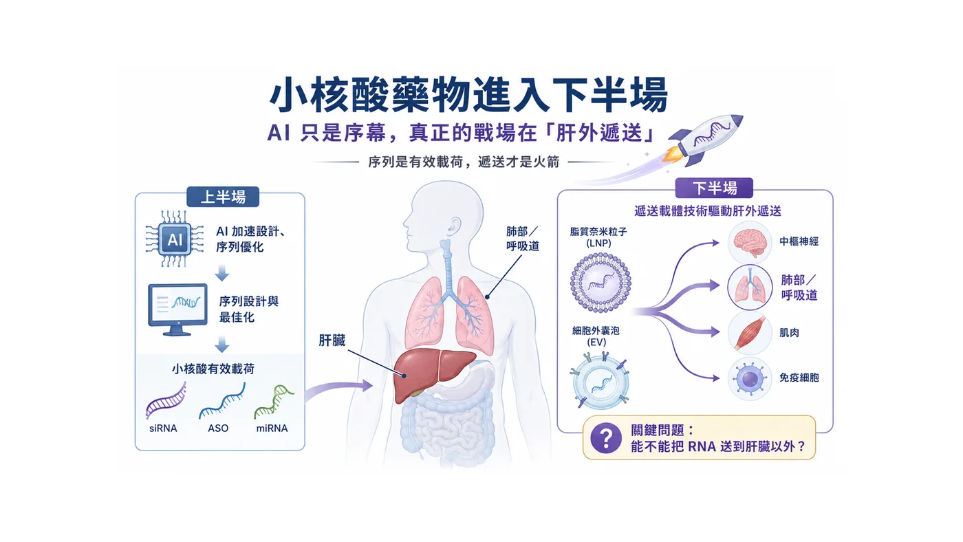 圖1|小核酸藥物的上半場是序列設計,下半場是遞送能否抵達病灶