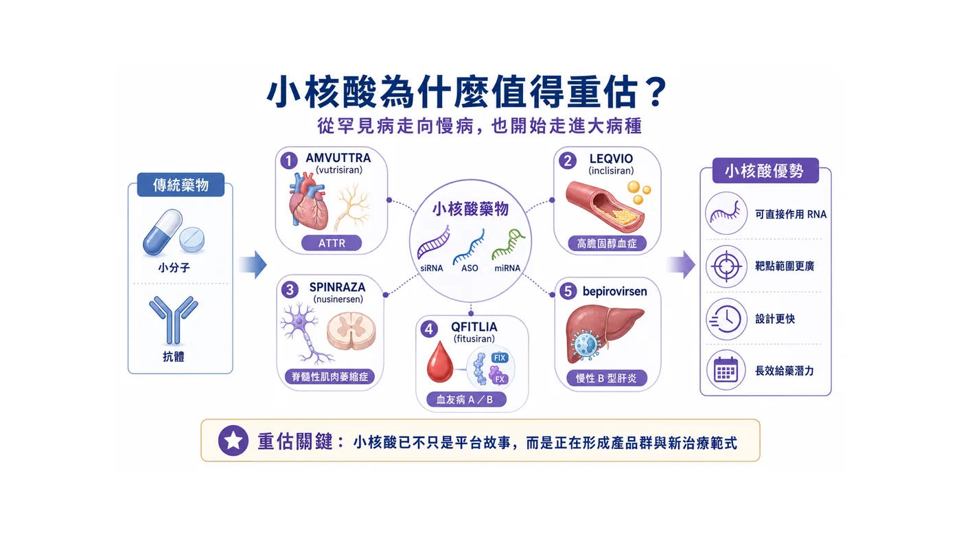 圖2|小核酸藥物從商業化產品、慢性 B 肝功能性治癒訊號到肝外遞送新戰場