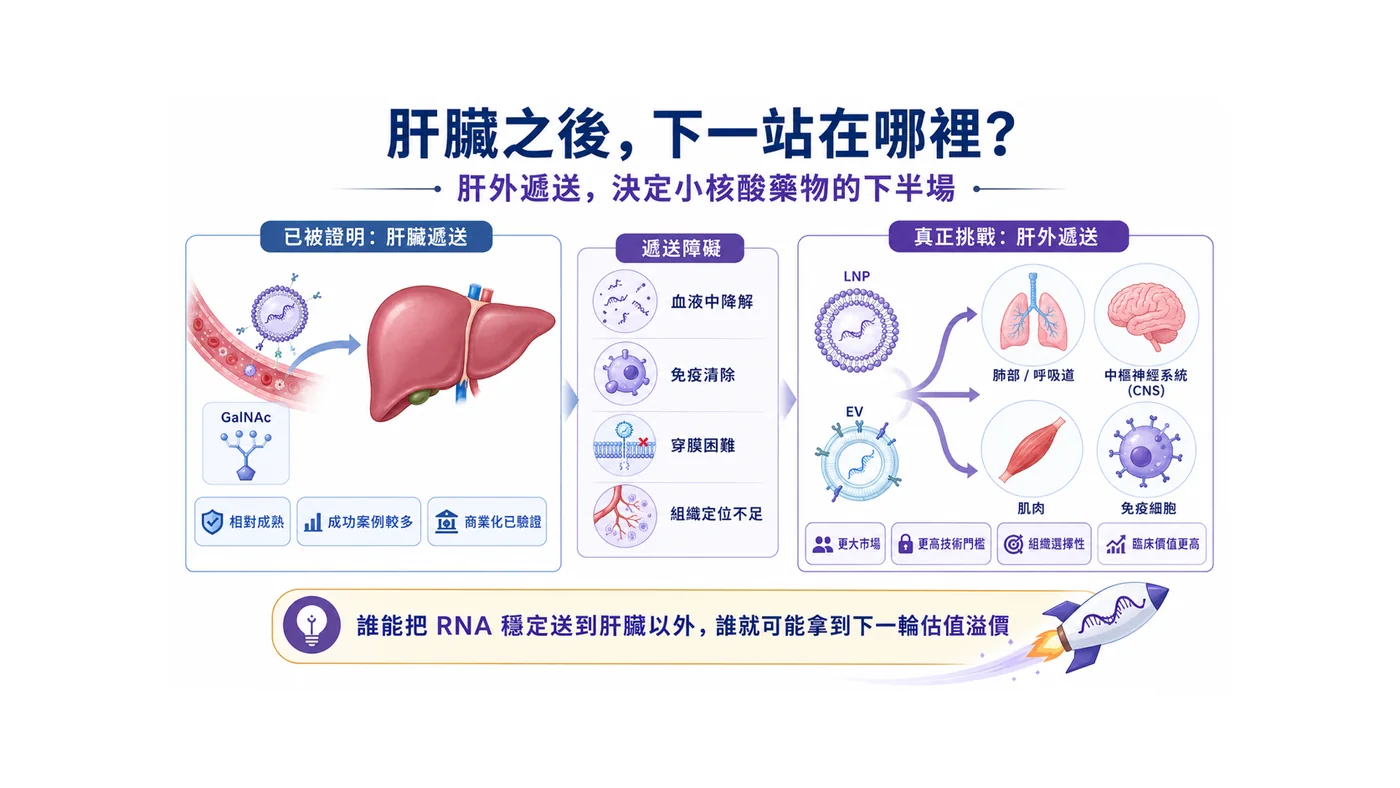 圖3|肝臟之外的器官遞送難度,正在重新定價 RNA 平台公司