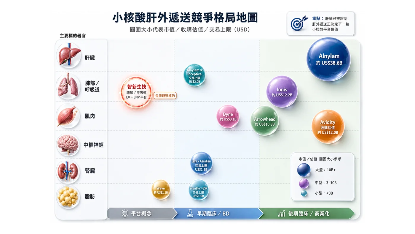 圖4|智新生技以肺部與呼吸道為起點,打造 EV 與 LNP RNA 遞送平台