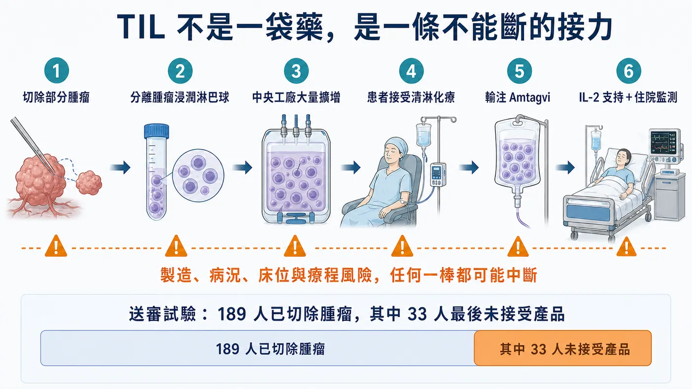 圖2｜TIL 療法從腫瘤取樣、製造、輸注到支付的一條接力流程