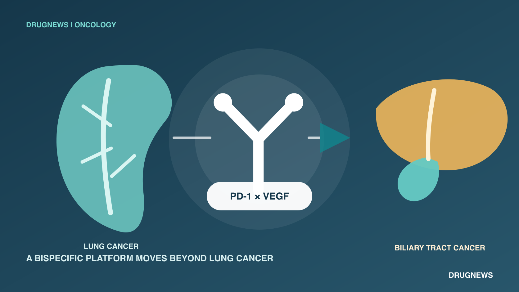 A PD-1 and VEGF bispecific antibody connecting lung cancer and biliary tract cancer research settings