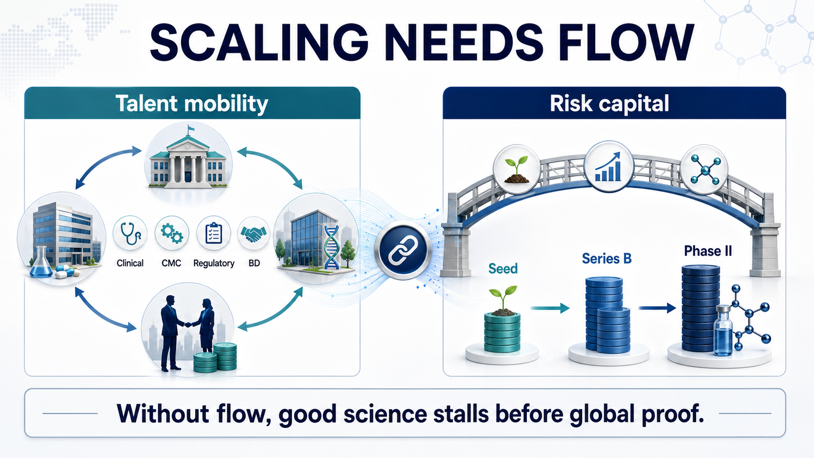 Figure 3 | Startup scaling needs talent mobility and risk capital across clinical, CMC, regulatory, and BD execution