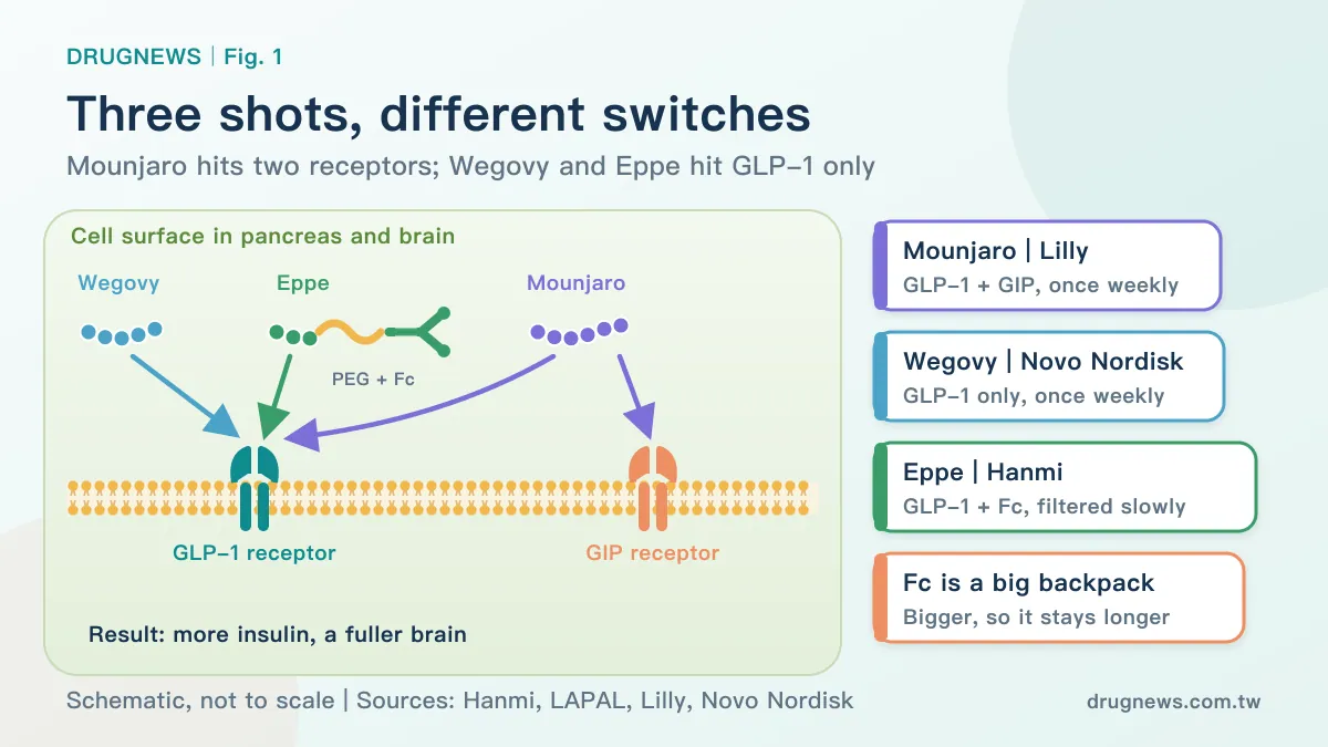 Fig. 1 | Three obesity shots, three ways to flip the switch
