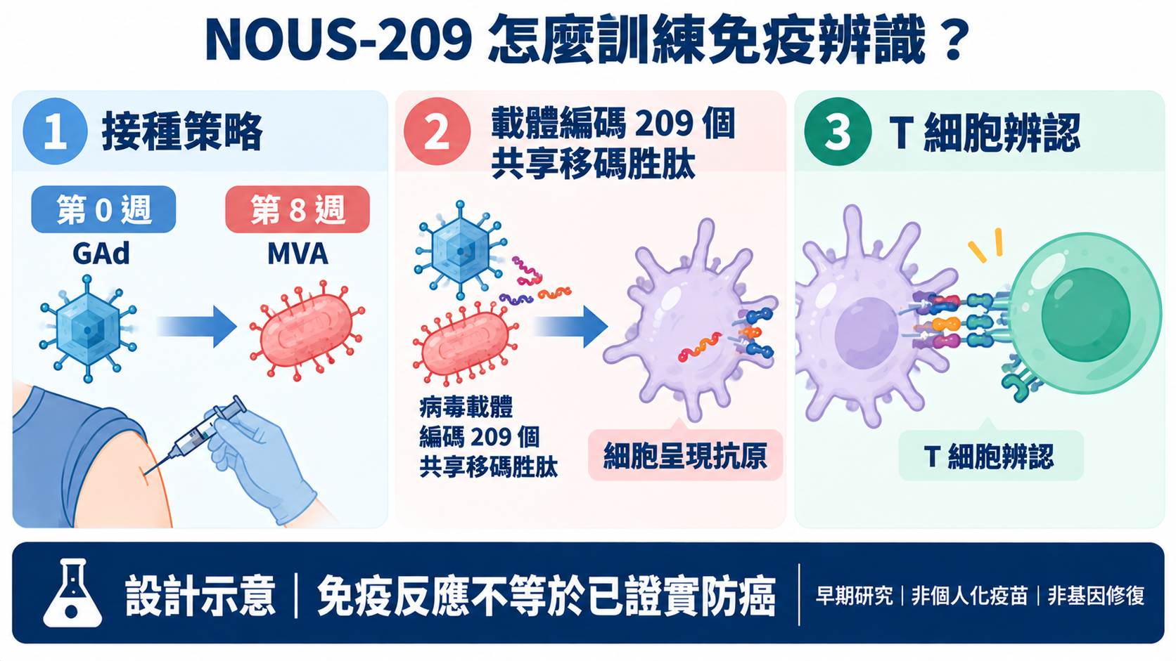 圖2示意:NOUS-209 以 GAd 初針與 MVA 加強針遞送 209 個共享 frameshift peptide,目標是誘發 T 細胞辨認 MSI 相關異常細胞;這不是 mRNA,也不是基因修復。