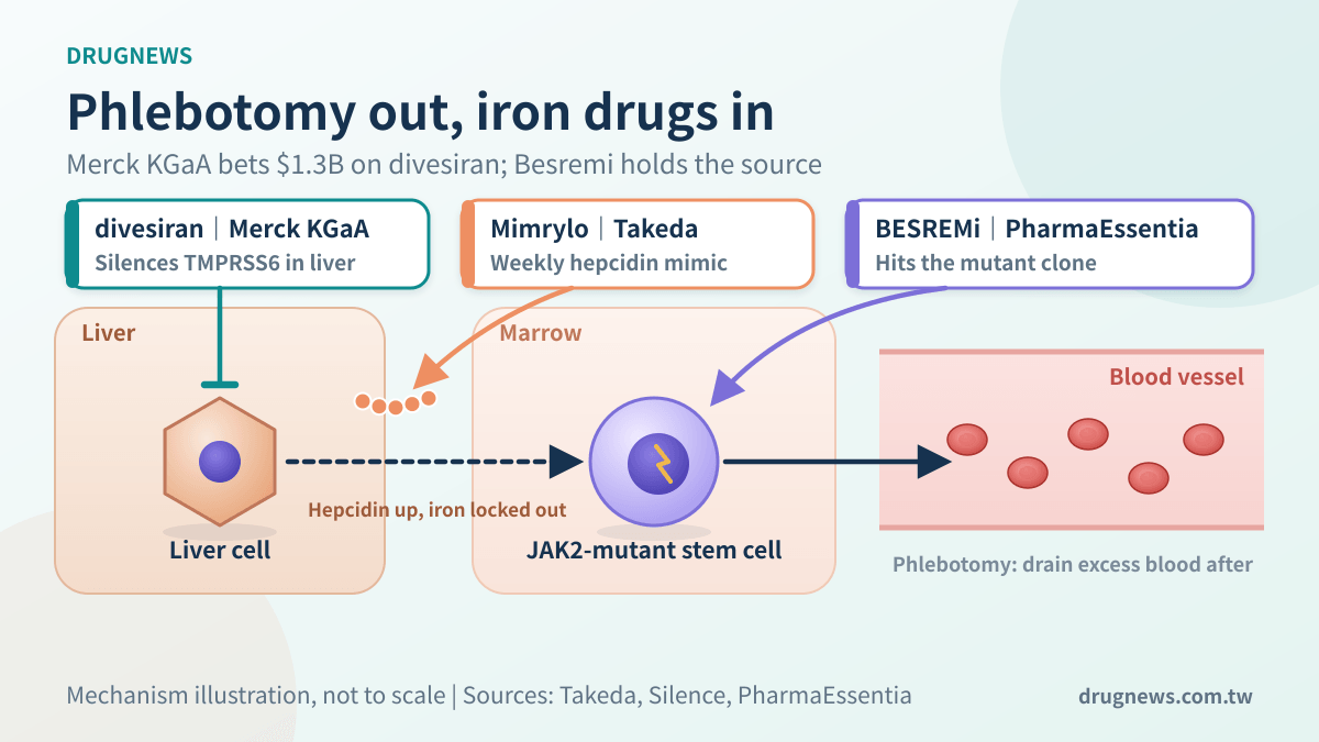 Mechanism diagram: divesiran and Mimrylo restrict iron via hepcidin; Besremi targets mutant stem cells in the marrow