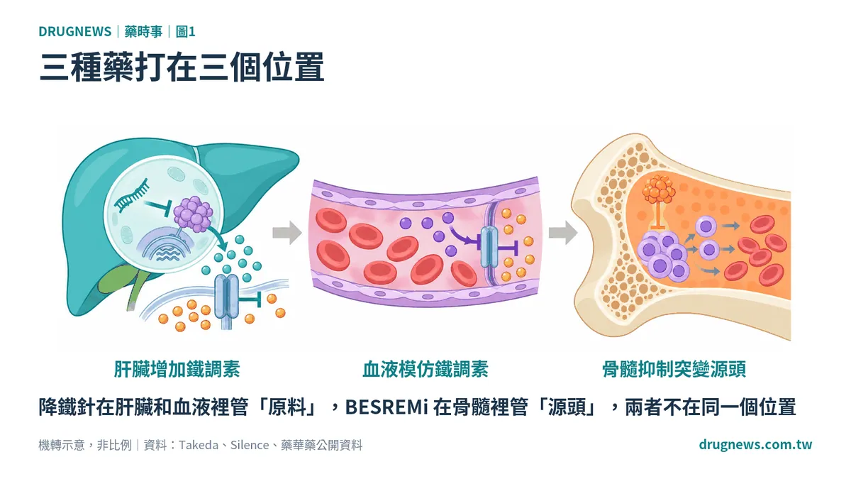 圖1|三種藥打在三個位置