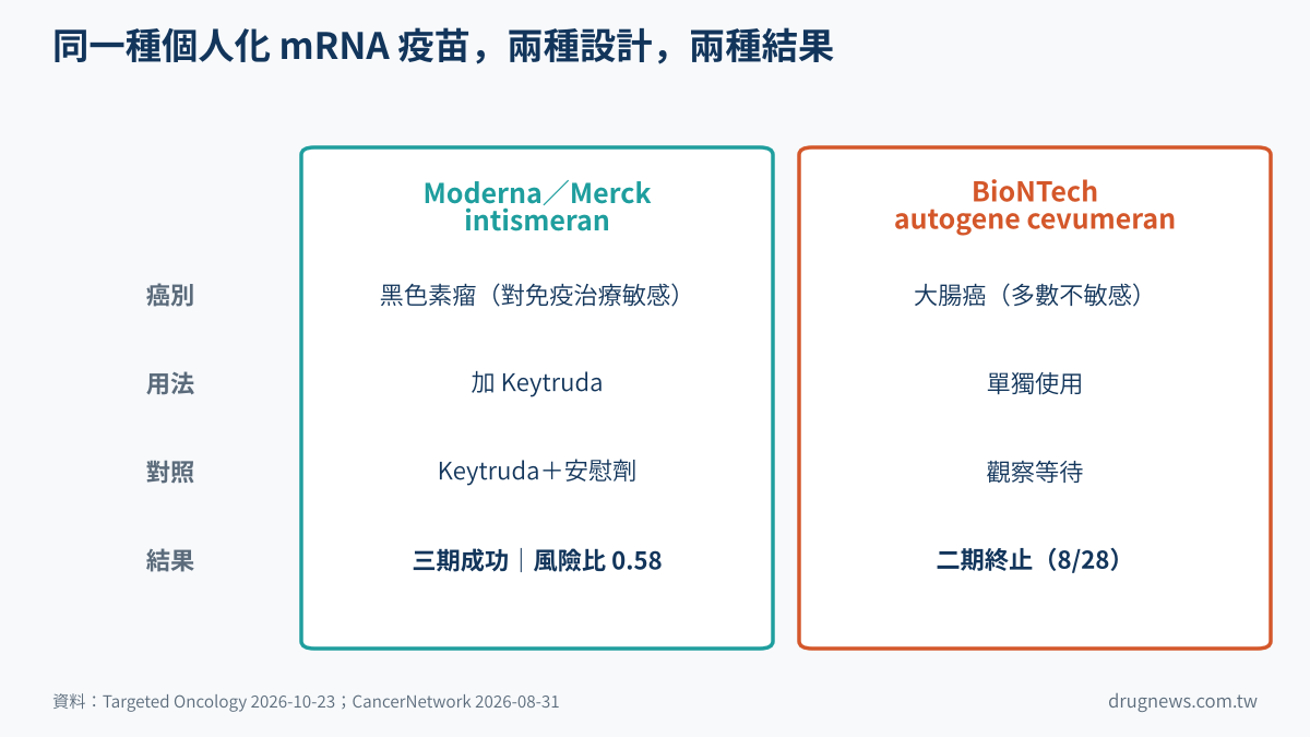 對照圖:Moderna/Merck intismeran 與 BioNTech autogene cevumeran 的癌別、用法、對照與結果