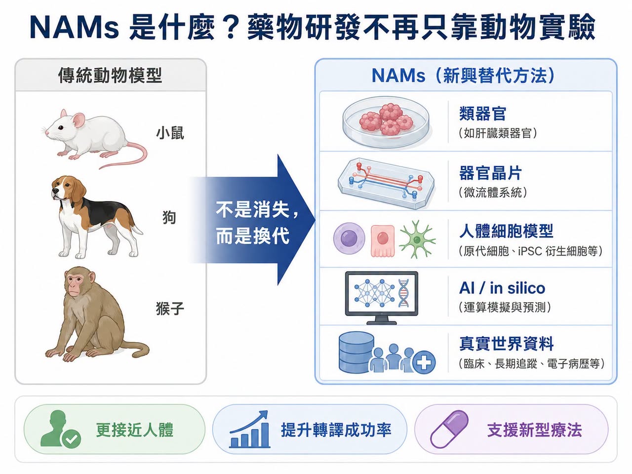 類器官、器官晶片與新方法學共同組成更接近人體的證據鏈