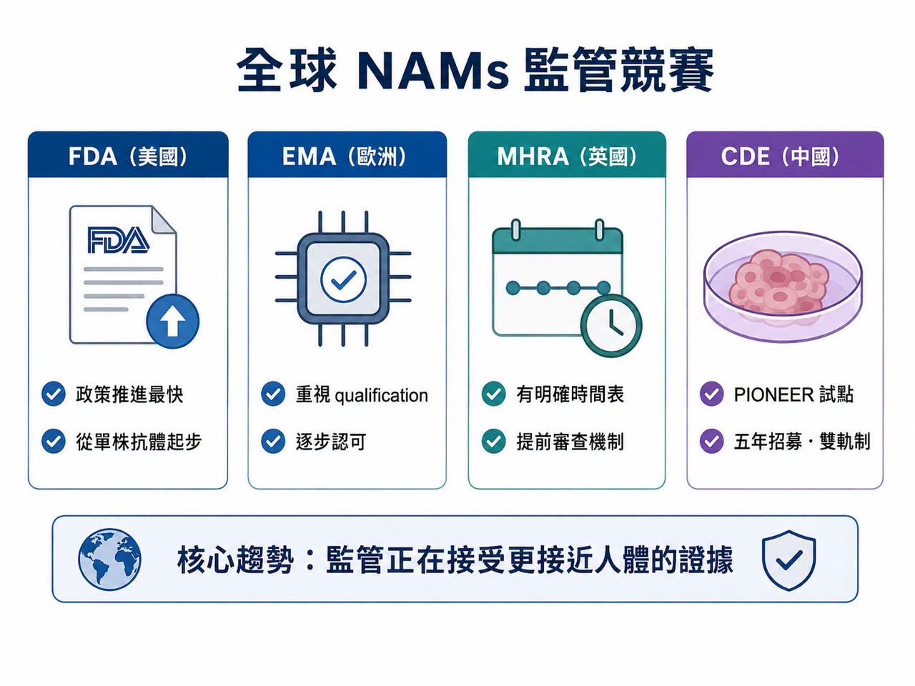 FDA、EMA、MHRA 與 CDE 的 NAMs 監管路徑各有不同節奏