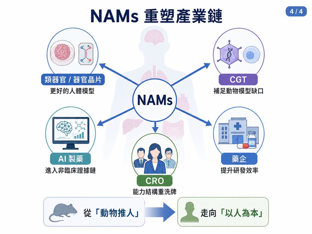 類器官、器官晶片、CGT、AI 製藥與 CRO 的產業價值鏈可能被重新定價