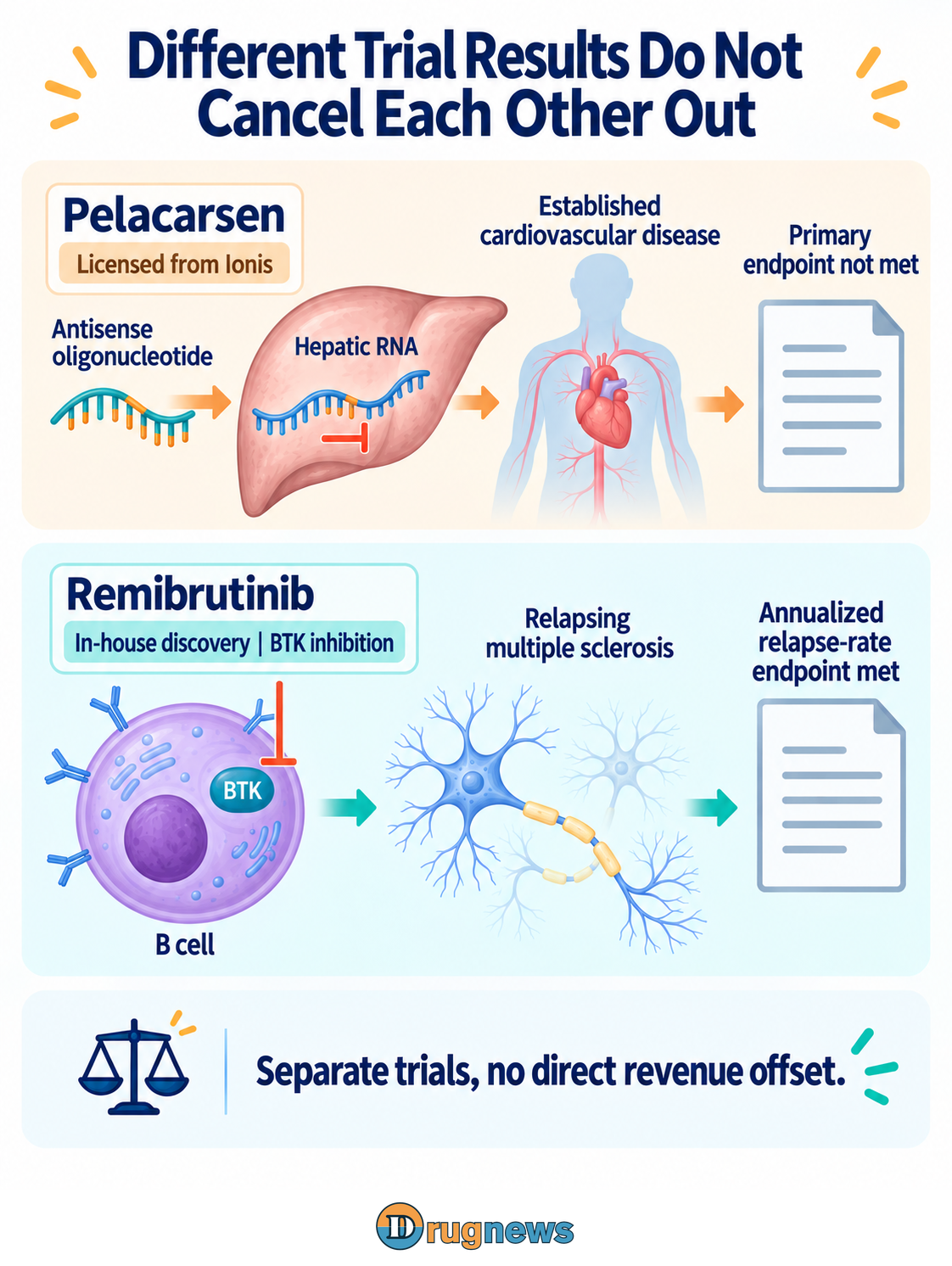 The upper lane uses liver-cell RNA, cardiovascular illustrations and a study record for pelacarsen, labeled “Primary endpoint not met.” The lower lane shows remibrutinib with a BTK node inside a B cell but outside its nucleus, an inhibitory bar ending at BTK, and a nerve fiber. Its result label reads “Annualized relapse-rate endpoint met.” The two lanes refer to separate studies.