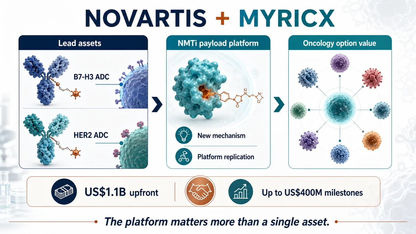The Novartis-Myricx transaction combines two lead ADC assets, an NMTi payload platform and broader oncology option value