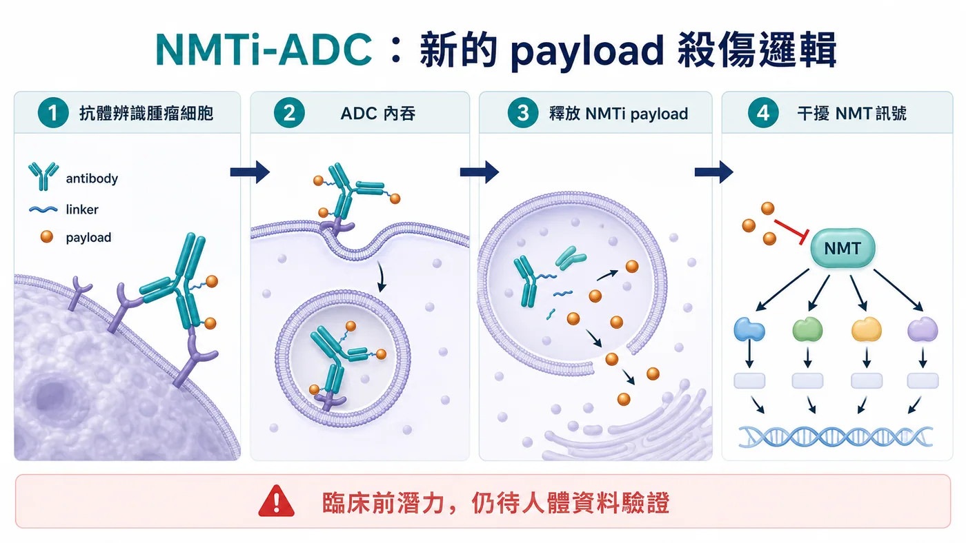 NMTi-ADC 透過抗體將新型 payload 送入腫瘤細胞並干擾關鍵細胞功能依賴
