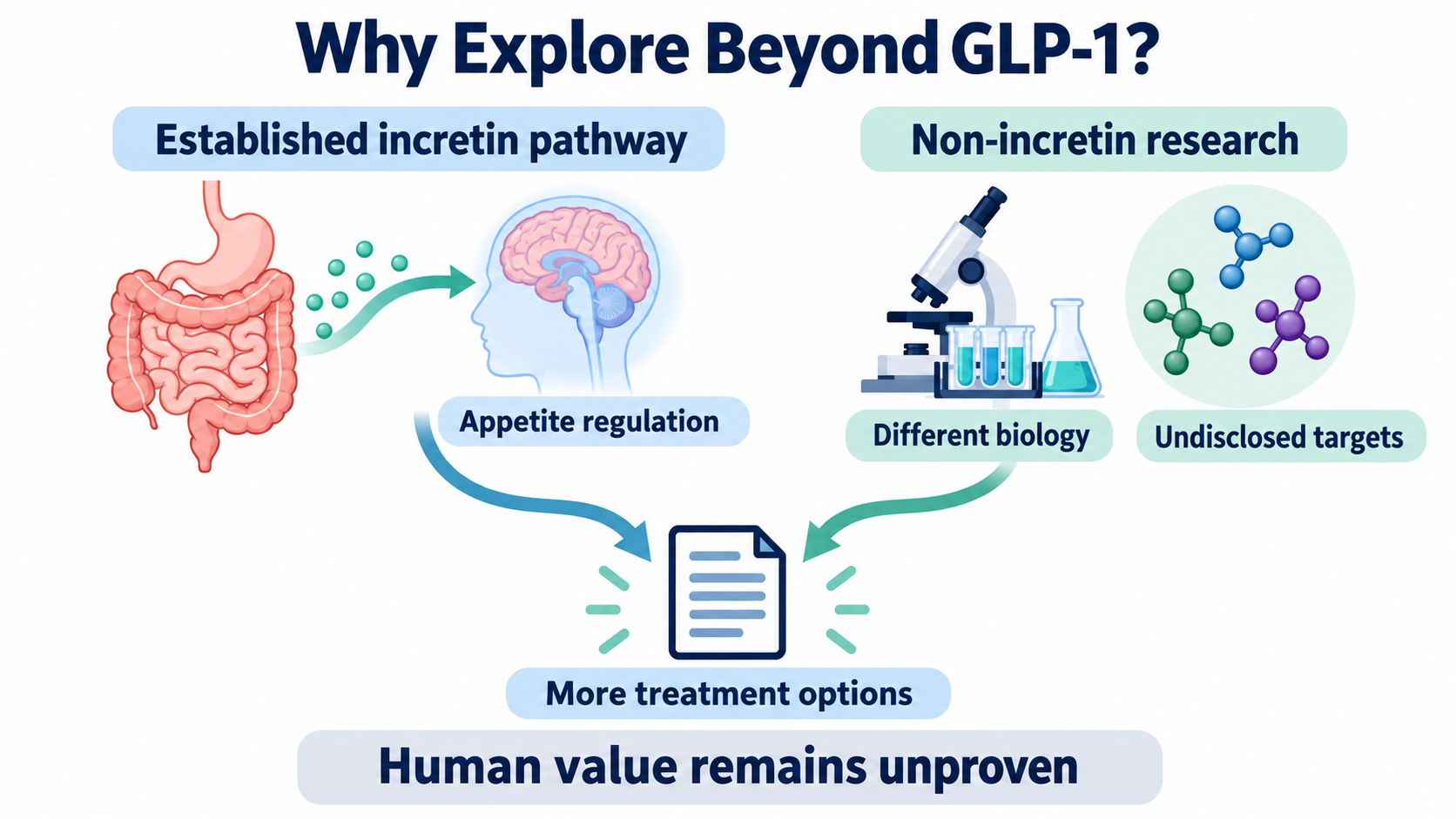 Gut signals connect to appetite regulation in the brain on the left; laboratory research and abstract candidate molecules appear on the right. Both connect to a document for more treatment options. Undisclosed targets and unproven human value are stated.