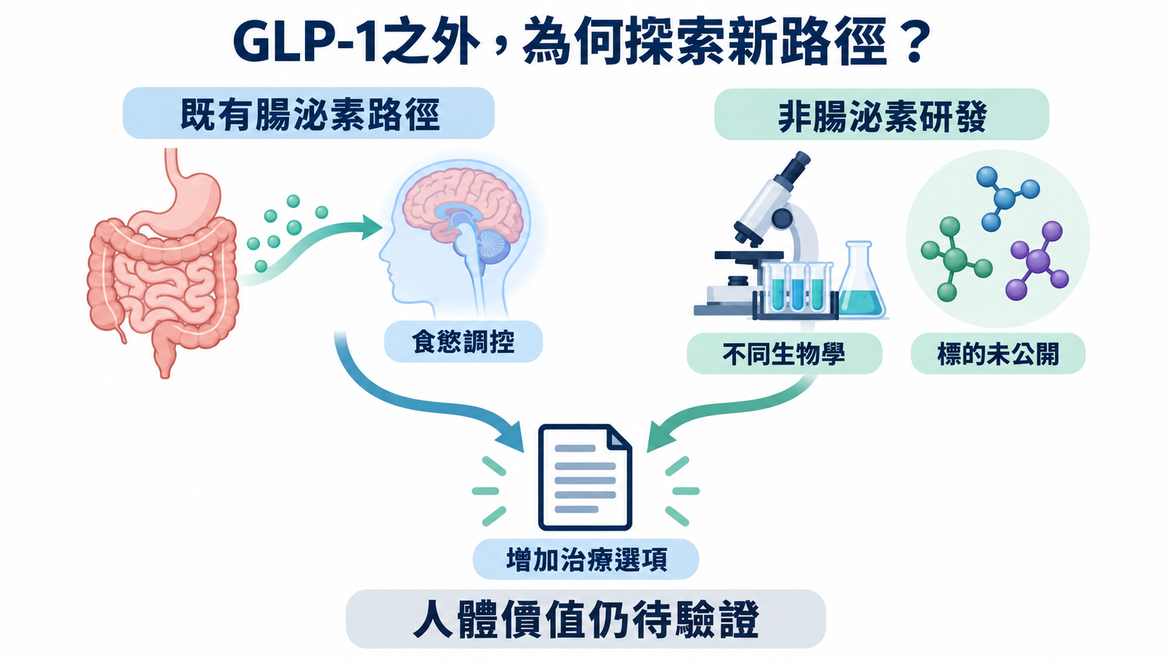 左側腸道訊號指向腦部食慾調控；右側為實驗室和抽象候選分子，標示不同生物學與標的未公開。兩側連到增加治療選項的文件，底部標示人體價值仍待驗證。