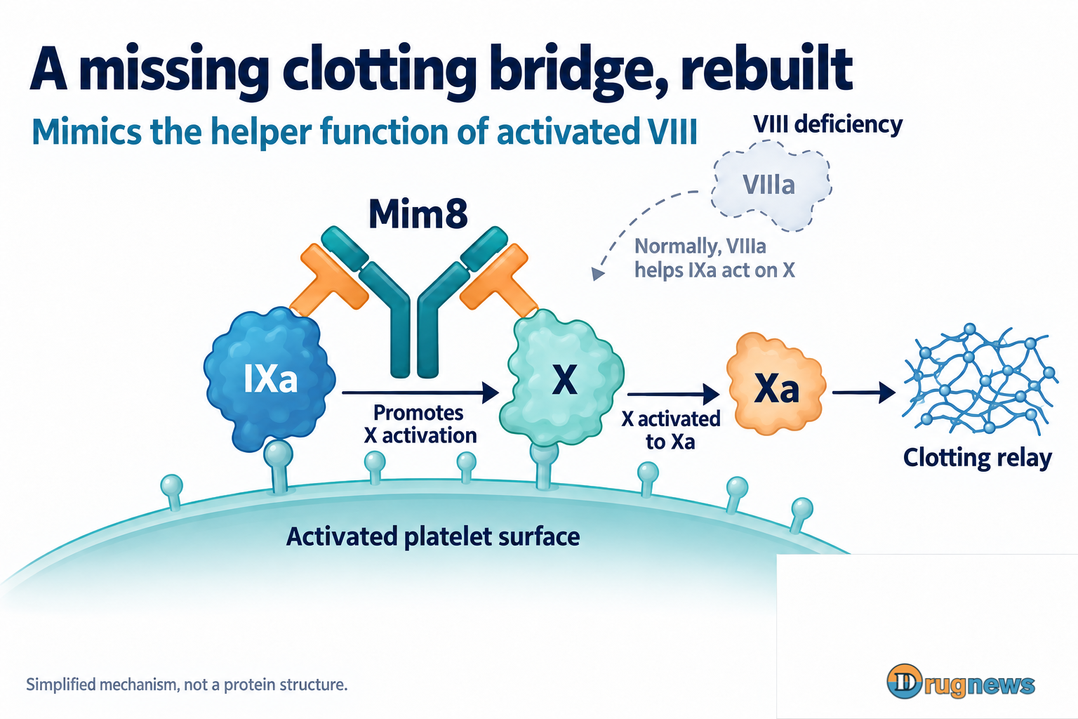 Mim8 bridges IXa and X on an activated platelet surface, facilitating activation of X to Xa