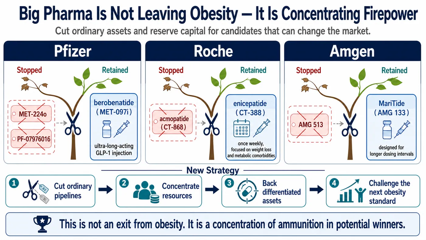 Figure 3 | Pfizer, Roche and Amgen are concentrating resources on obesity assets that may still break through