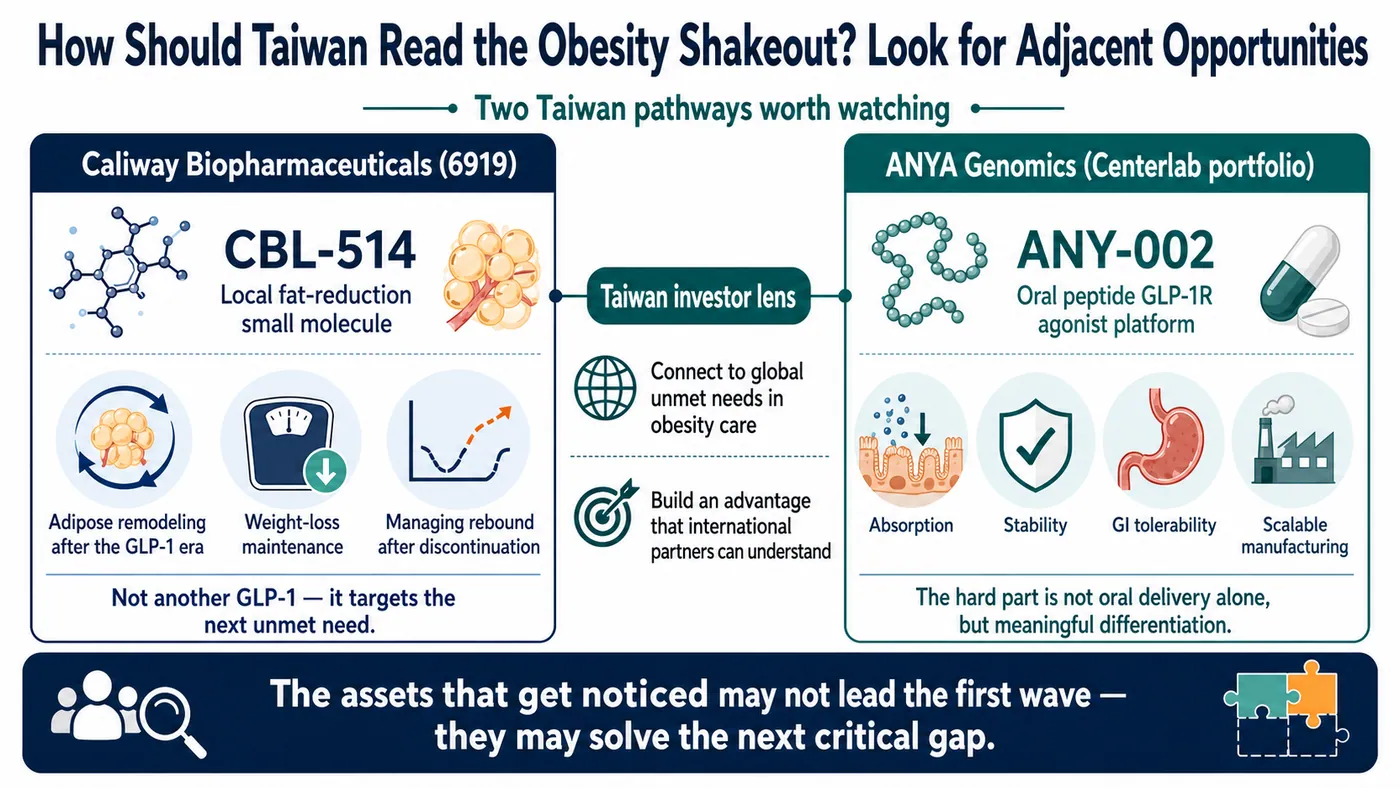 Figure 4 | Taiwan's adjacent opportunities: Caliway targets adipose remodeling and weight maintenance while ANYA tests the oral-peptide barrier