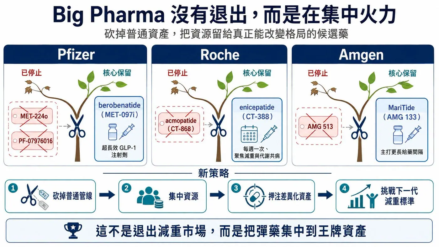 圖3|Pfizer、Roche 與 Amgen 集中資源推進真正有機會突圍的核心減重資產