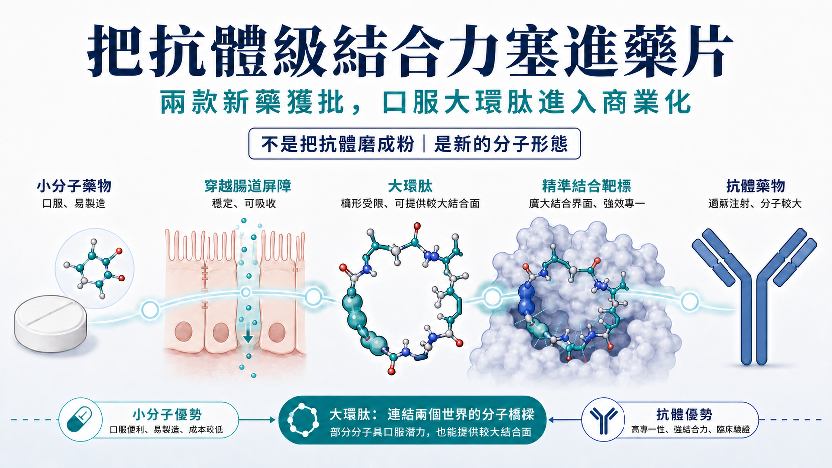 把抗體級結合力塞進藥片！兩款新藥獲批，大藥廠搶押口服大環肽