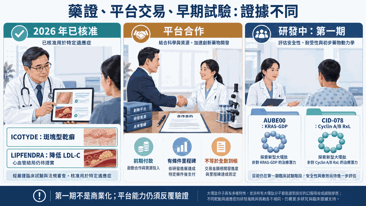 已核准產品、平台合作與第一期研究分成三個獨立區塊;前期付款與有條件里程碑分開,AUBE00 與 CID-078 尚屬研究中。