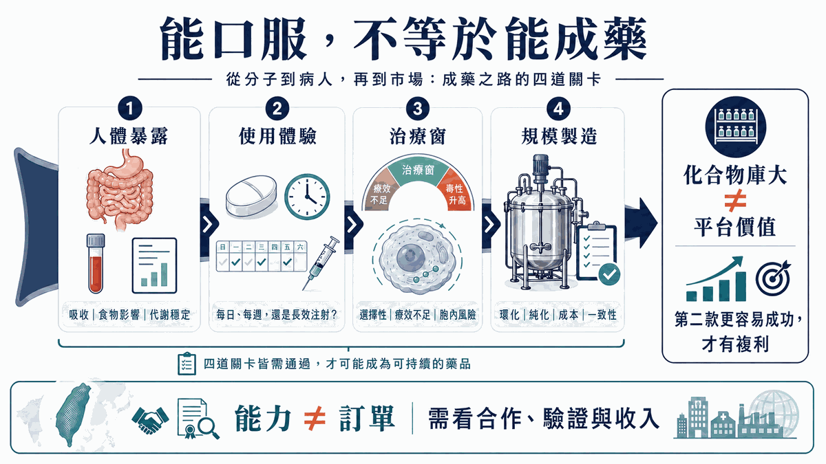 口服大環肽開發的四項評估:人體暴露、患者使用體驗、治療窗,以及製程放大與品質。