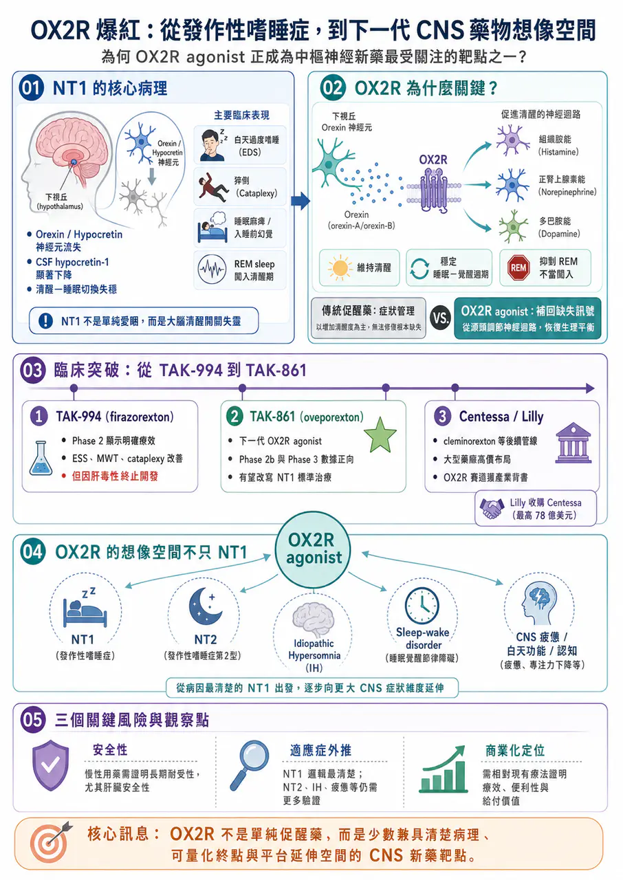 Dcard 原圖:OX2R 爆紅:從發作性嗜睡症,到下一代 CNS 藥物想像空間