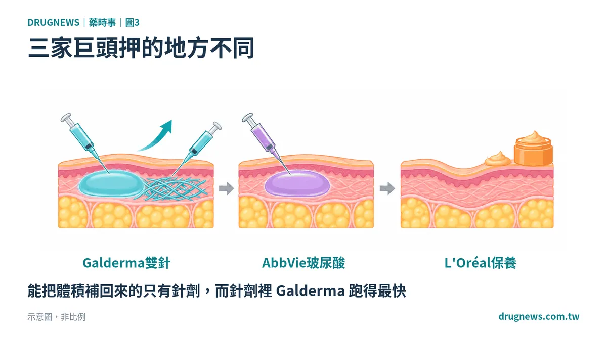 圖3｜三家巨頭押的地方不同