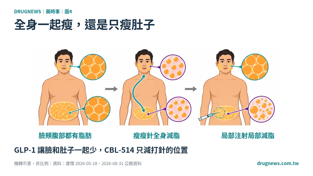 圖4｜全身一起瘦，還是只瘦肚子