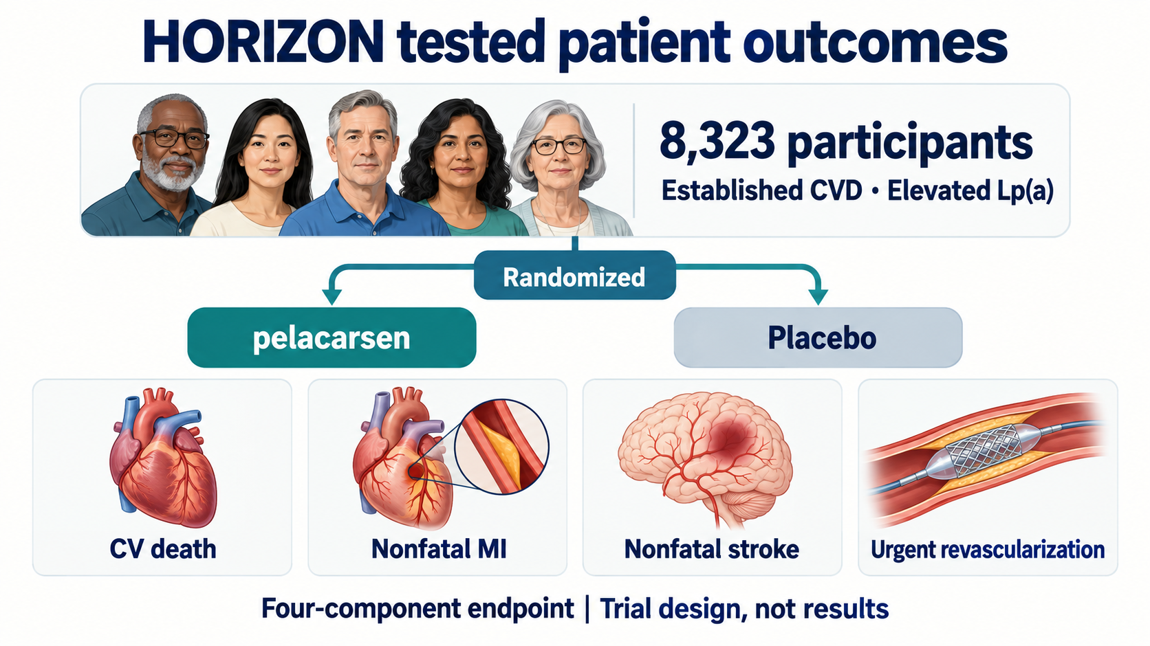 HORIZON enrolled 8,323 patients with established cardiovascular disease and elevated Lp(a), randomized to pelacarsen or placebo; this is a trial design schematic, not a result distribution.