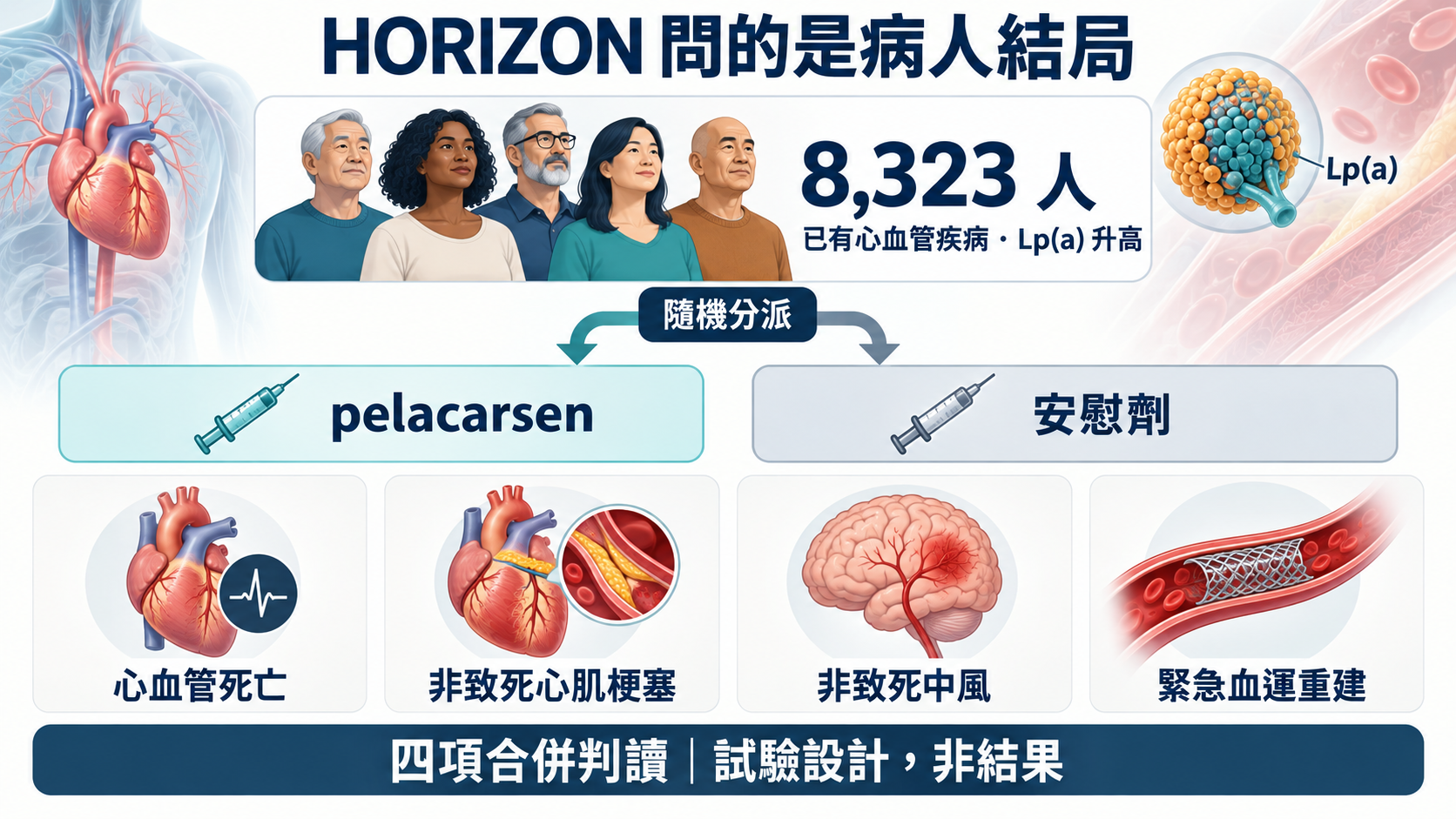 HORIZON 設計為 8,323 名已有心血管疾病且 Lp(a) 升高病人,隨機接受 pelacarsen 或安慰劑;這是試驗設計示意,不是結果分布。