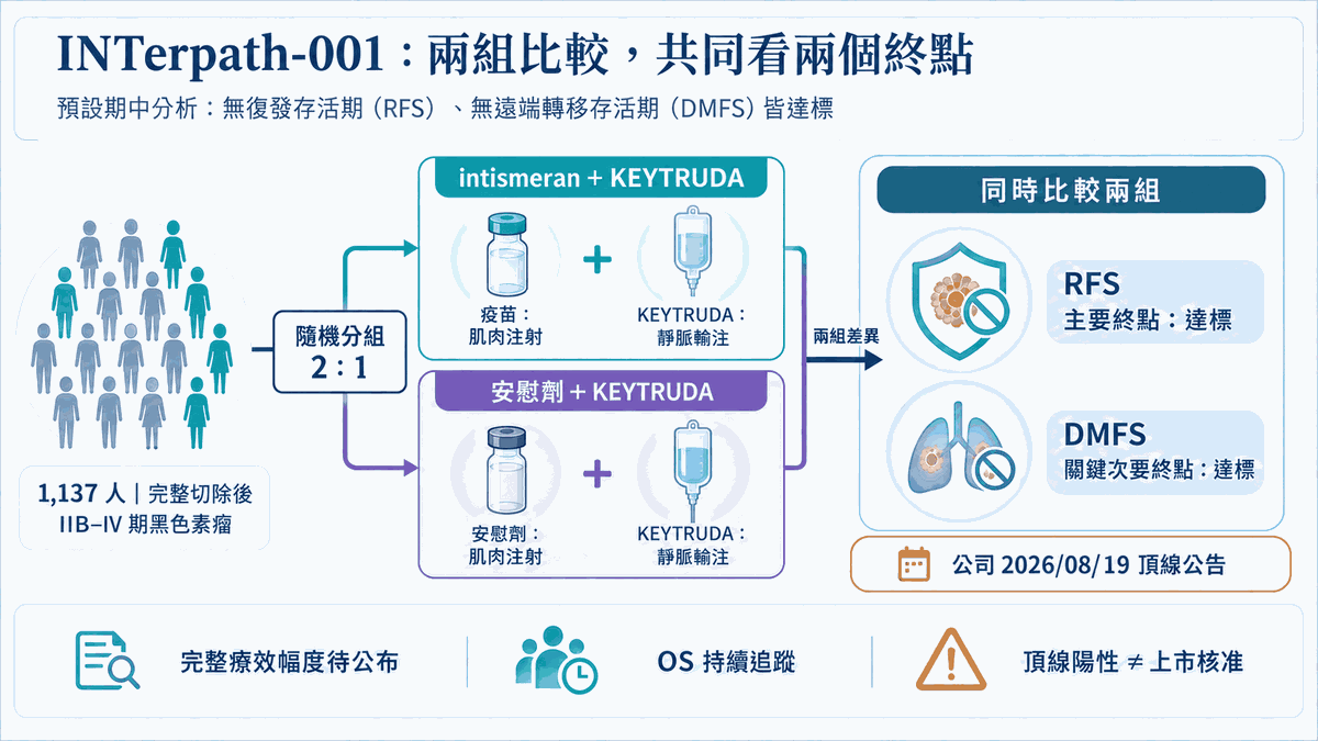 INTerpath-001 以二比一隨機分組,intismeran 加 KEYTRUDA 與安慰劑加 KEYTRUDA 共同比較 RFS 及 DMFS。