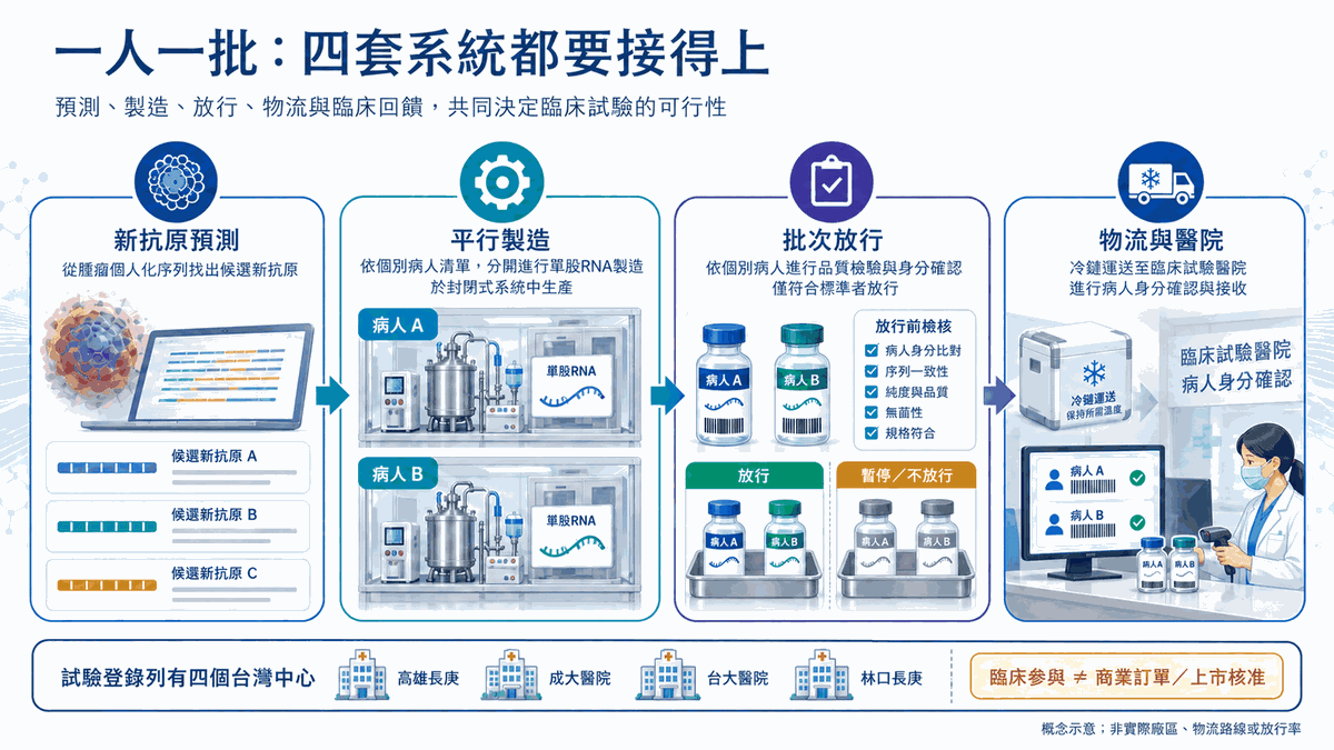 新抗原預測、患者批次平行製造、放行或暫停的品質判斷,以及物流與醫院身分核對四套系統。