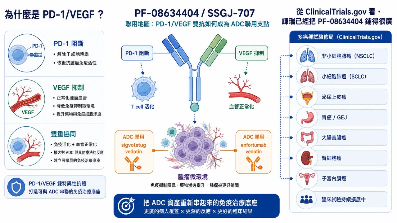 Facebook 原圖:【輝瑞 ADC 賭局:430 億美元買下 Seagen 之後,為什麼 3SBio 的 PD-1/VEGF 雙抗變成新支點?】(圖 3)