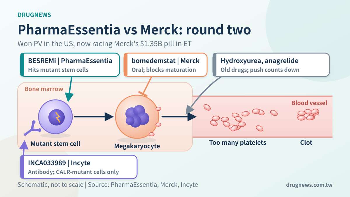 ET mechanism schematic: BESREMi hits mutant stem cells, Merck's bomedemstat blocks megakaryocyte maturation, Incyte's antibody targets CALR-mutant cells, old drugs push platelet counts down