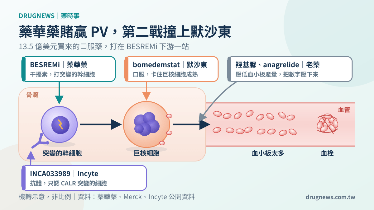 ET 機轉示意圖:BESREMi 打突變的幹細胞,默沙東 bomedemstat 卡住巨核細胞成熟,Incyte 抗體只認 CALR 突變,老藥壓低血小板產量
