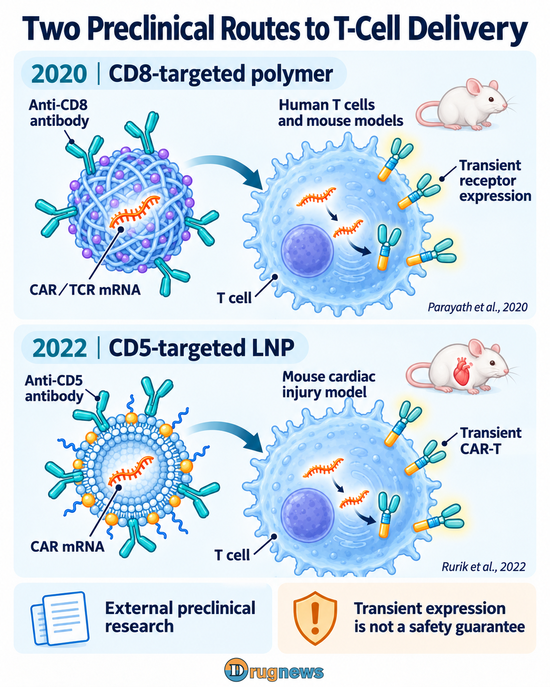 Two distinct external preclinical routes for receptor-mRNA delivery, using polymer carriers and LNPs