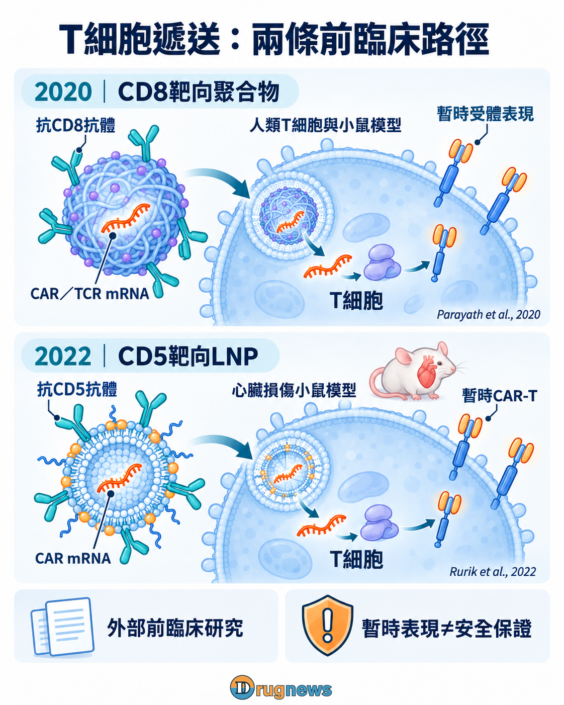 分列聚合物與LNP遞送受體mRNA的外部前臨床路徑