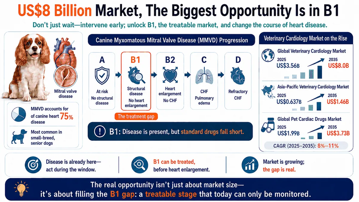 Figure 2. Canine MMVD market structure, disease staging, and