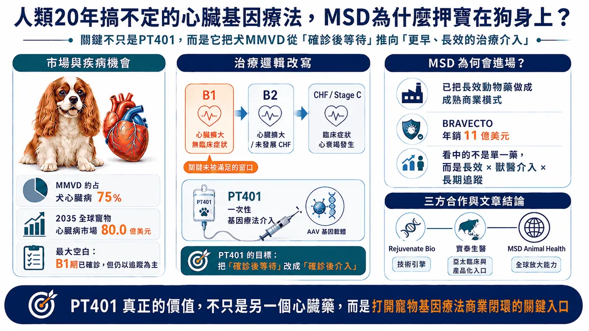 圖1. 從犬MMVD的B1治療空白出發，圖中整理PT401的一次／低頻介入概念，以及Rejuvenate Bio與寶泰的