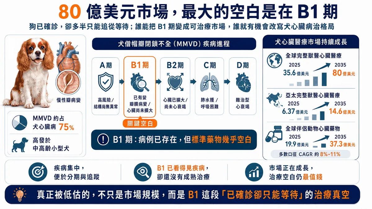 圖2. 犬MMVD市場、疾病分期與B1治療空白。病例、診斷與追蹤已經存在，新療法要回答的，是能否在心臟擴大以前安全介入。