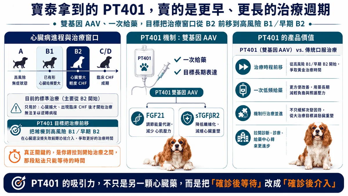圖4. PT401以雙基因AAV嘗試把介入窗口移到高風險B1／早期B2，產品輪廓建立在一次／低頻給藥、持續表達與更長治療