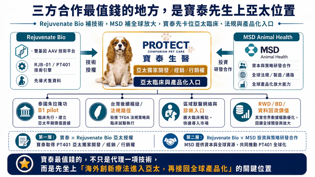 圖7. 三方合作背後戰略意義與佈局：Rejuvenate Bio提供技術、寶泰先取得亞太獨家權利並推進泰國B1與台灣後續