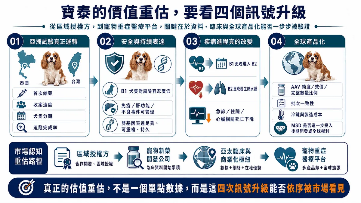 圖8. 寶泰的下一段價值取決於四層證據：亞洲試驗運轉、安全與持續表達、疾病進程改變，以及能否進入全球產品化。