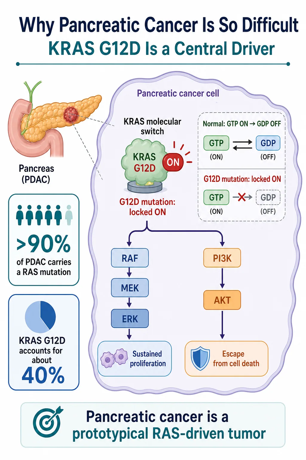 Why pancreatic cancer is difficult: KRAS G12D functions as a central driver of RAS signaling