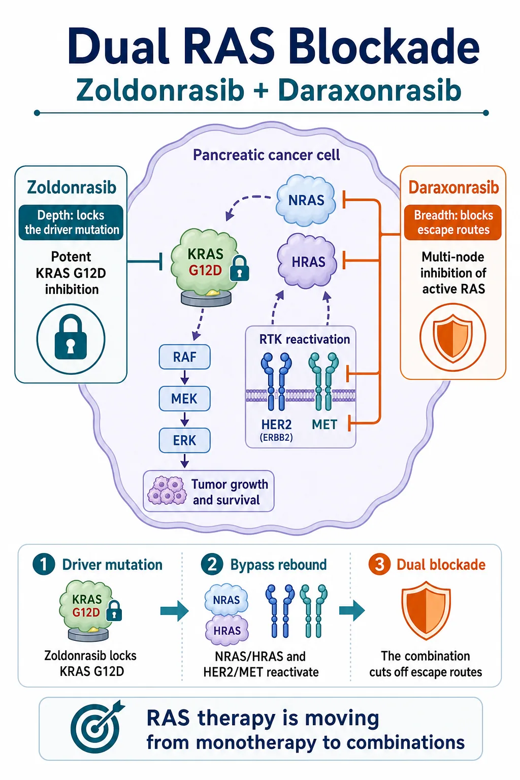 Zoldonrasib provides mutation-specific depth while daraxonrasib broadens blockade across RAS escape routes