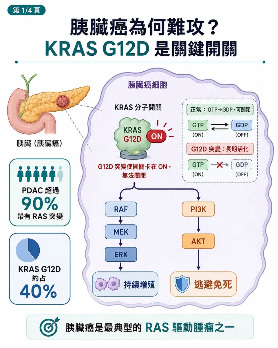 胰臟癌中的 KRAS G12D 分子開關與下游訊號路徑