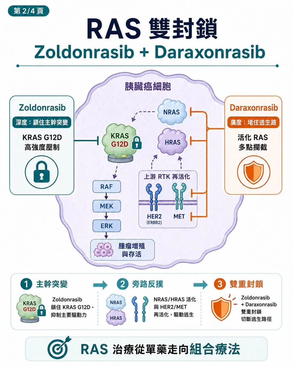 Zoldonrasib 與 daraxonrasib 從突變深度與逃脫路徑廣度形成 RAS 雙封鎖