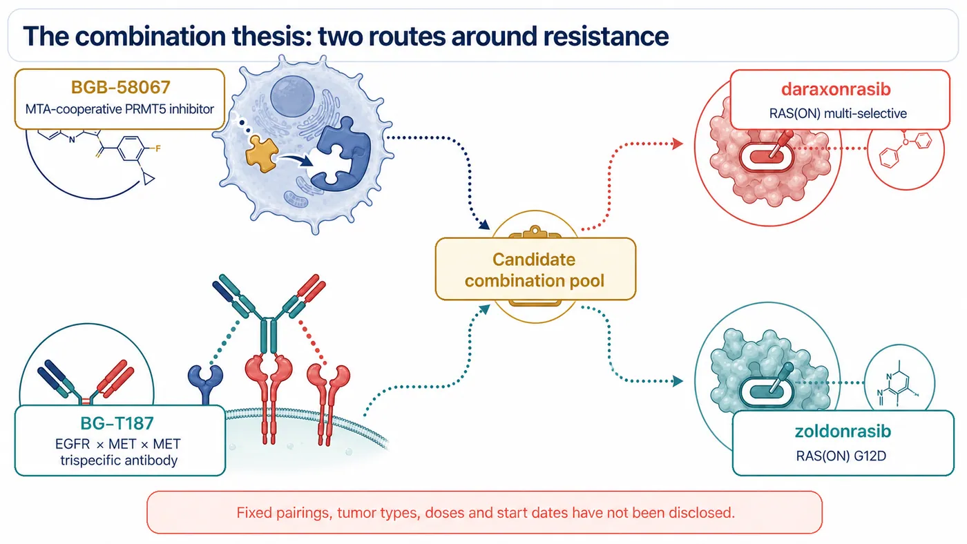 Figure 2 | BGB-58067 and BG-T187 may be paired with daraxonrasib or zoldonrasib, but fixed combinations, tumor types, doses and timing remain undisclosed